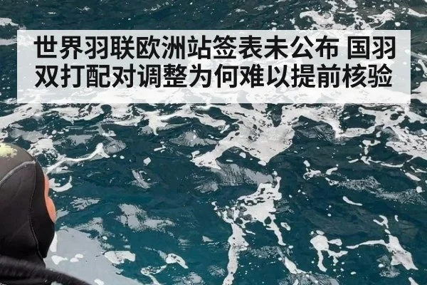 世界羽联欧洲站签表未公布 国羽双打配对调整为何难以提前核验